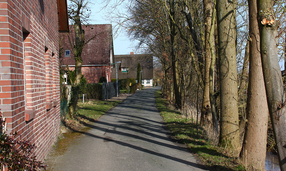 Foto von den Höfen am Neuenkirchener Hinterdeich. Ihre Giebel stehen parallel zur Deichlinie des Hinterdeichs, zur Wettern und zum Weg.